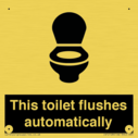 this-toilet-flushes-automatically~